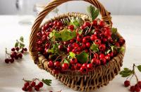Полезные свойства ягод боярышника для человека Трава боярышник лечебные свойства и противопоказания