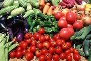 Skleníkový podnikateľský plán na pestovanie zeleniny