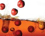 „Oddelenie výroby jablčného vína“: rozhovor s produkciou, ktorá vyrástla z vedy