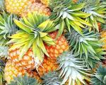 Ako si vybrať správny ananás