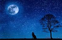 खूबसूरत तस्वीरें, रात में तारों से भरे आकाश की भव्यता से मंत्रमुग्ध कर देने वाली