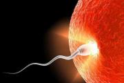 Výtok po ovulácii, ak bolo počatie úspešné