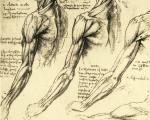 विज्ञान जो मानव शरीर का अध्ययन करता है पैराग्राफ की शुरुआत में प्रश्न